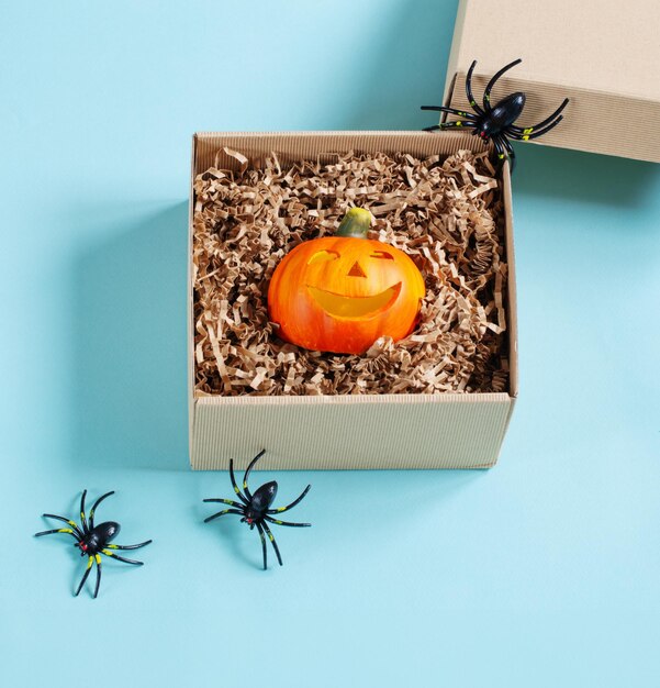 halloween pumpkin in gift box with decor on blue background