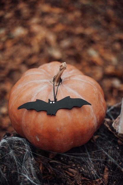 Halloween pumpkin and holiday decor at maple leaves among trees in autumn season outdoor