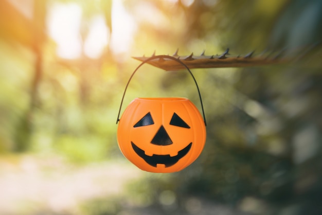 Halloween pumpkin lantern hanging on the branch