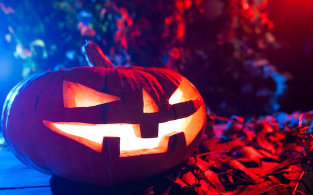 Halloween Pumpkin In A Mystic Forest At Night.