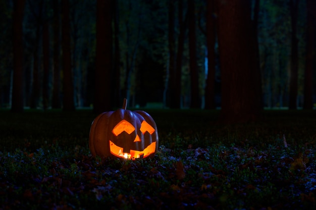 Halloween Pumpkin in the park