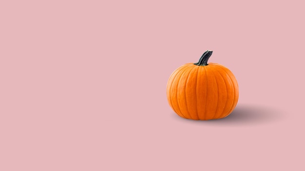 Halloween pumpkin on pink background Minimal concept Halloween or Thanksgiving season concept