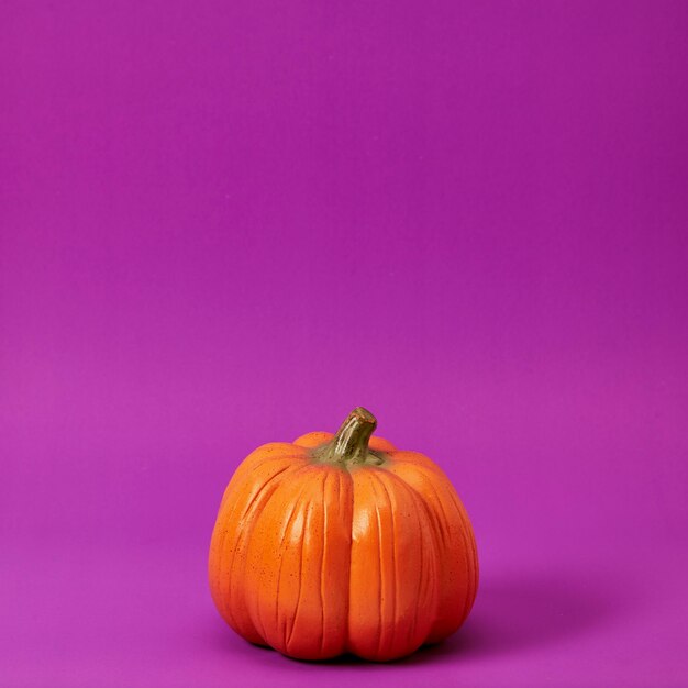 Halloween pumpkin on a purple background