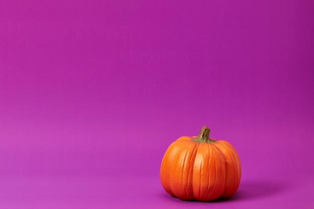 Halloween pumpkin on a purple background