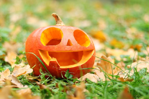 Halloween pumpkin with a cute face