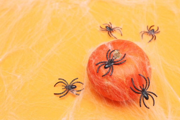 Halloween pumpkin with spider web and black spiders on orange background