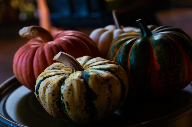 Halloween pumpkins captured in realistic daylight