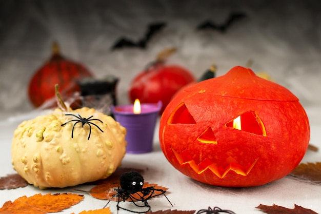 Halloween pumpkins on a gray wall background with ghosts bats spiders pumpkins