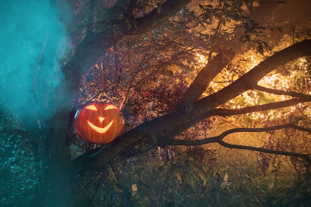 Halloween pumpkins in night forest