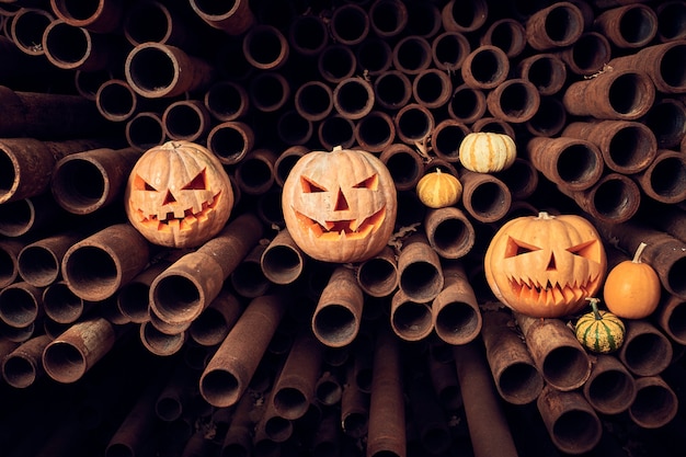 Halloween Pumpkins on a stack of rusty pipes