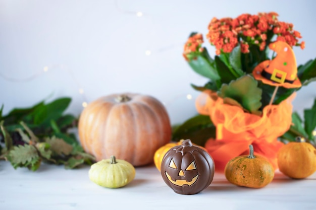 Halloween pumpkins on white wooden background