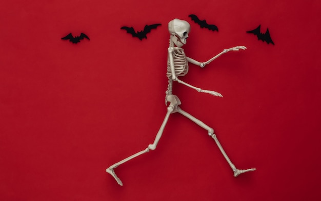 Halloween scary concept. Skeleton runs away on red with flying bats