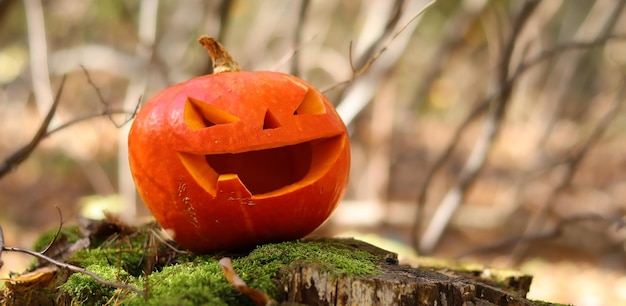 Halloween scary pumpkin with one tooth in the autumn forest