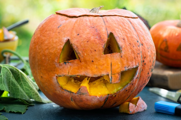 Halloween scary pumpkin with a smile in autumn garden. Preparation for celebration. Preparing pumpkin for halloween. Jack-O-Lantern. Making pumpkin decor for Halloween.