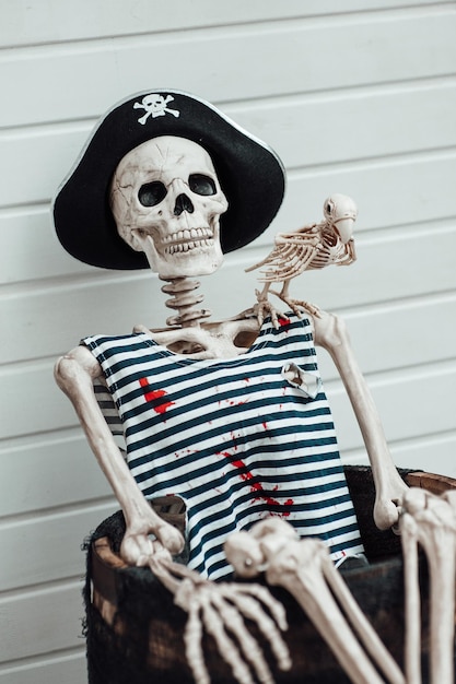 Halloween skeleton character in pirate costume with cocked hat black