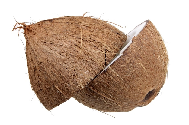 Halves of Coconut