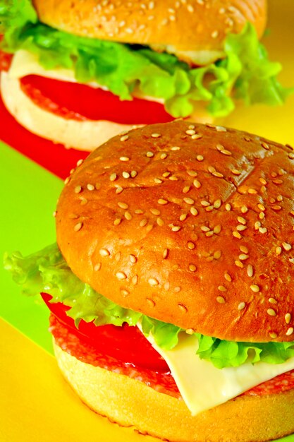 Hamburger on a background with a hamburger color.