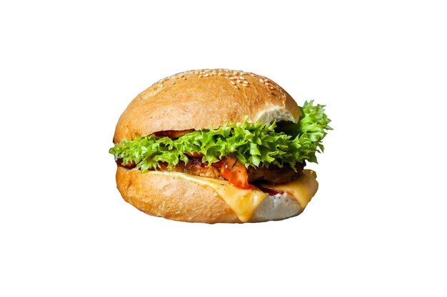 Hamburger isolated on white background. Food photo.