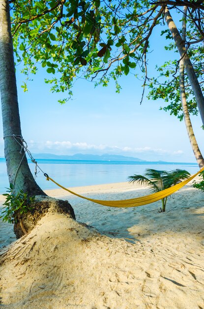 Hammock on the beach