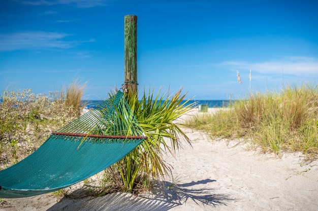 Hammock on a beach