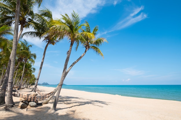 Hammock hang on palm tree. Landscape of summer season in tropical beach.