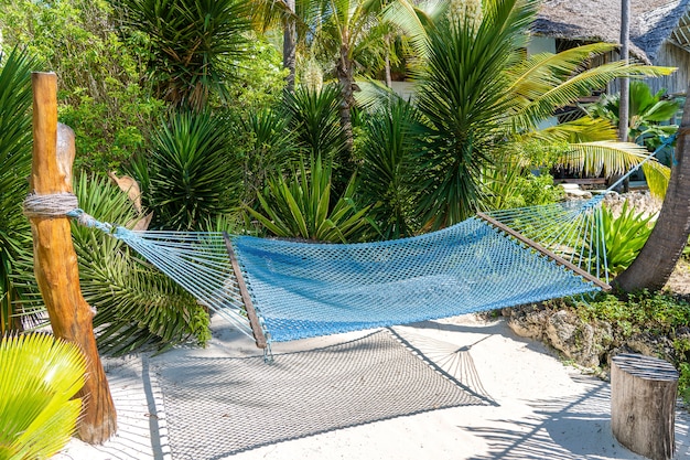 Hammock hanging between palm trees at the sandy beach and sea coast