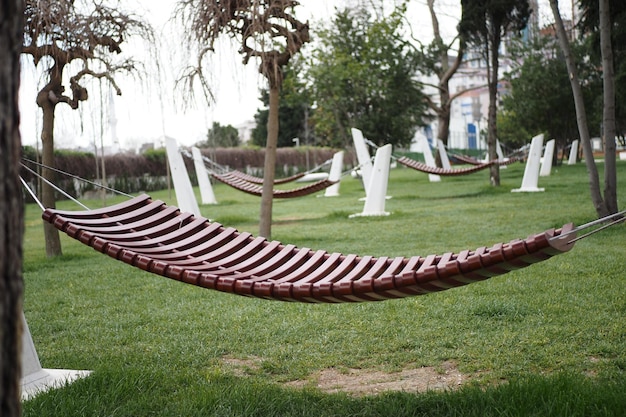 A hammock is suspended between trees on the lush grass in a park