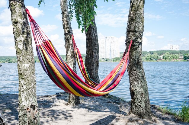 Photo the hammock is tied to two trees multicolored hammock by the lake