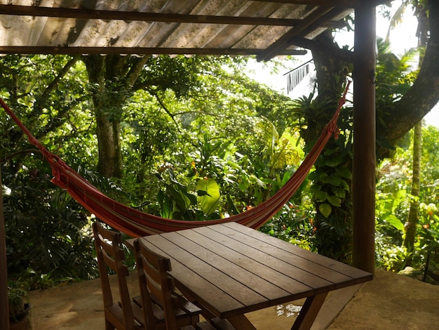 Hammock on the outdoor terrace in the rainforest