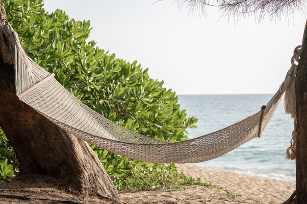 Hammock swing between trees on a tropical island with beautiful beach.