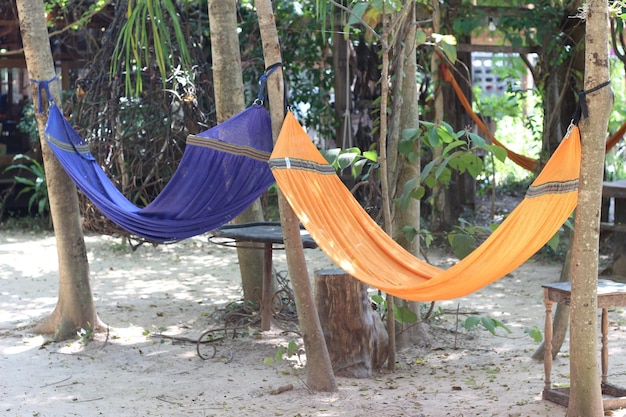 hammock in a tree with purple and orange fabric