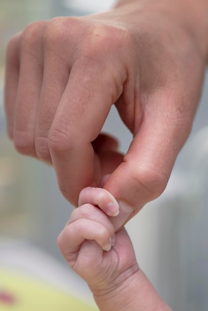 The hand of an adult holds the hand of a newborn child