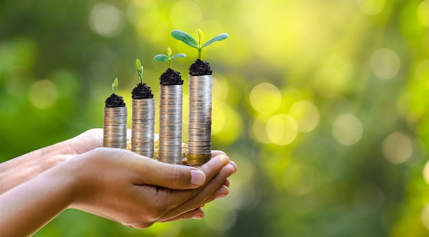 Hand Coin tree The tree grows on the pile. Saving money for the future. Investment Ideas and Business Growth