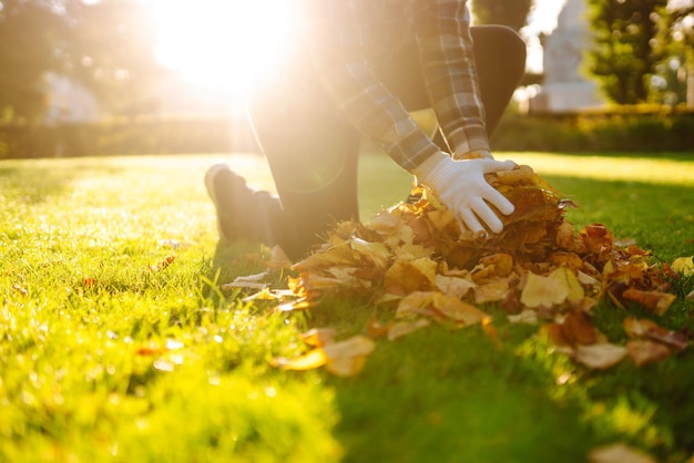 Photo hand collects and piles fallen autumn leavesvolunteering cleaning concept seasonal gardening