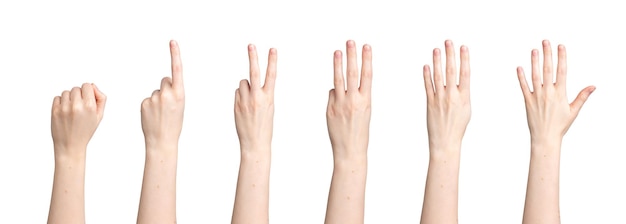 Hand count fingers showing digits numbers from zero one two three four fist to five