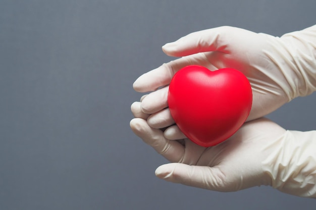 The hand of a doctor wearing a medical glove is supporting the heart on gray background