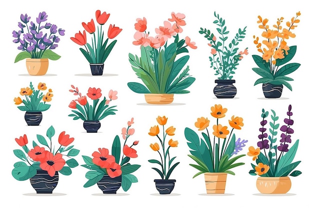 Hand Drawn Flat Design Flower Arrangement Collection