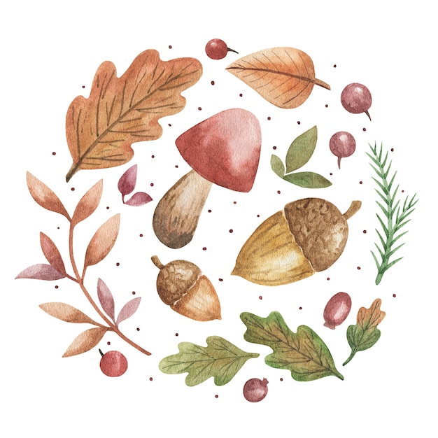 Hand drawn leaves, mushrooms, acorns, oak leaves, berries set