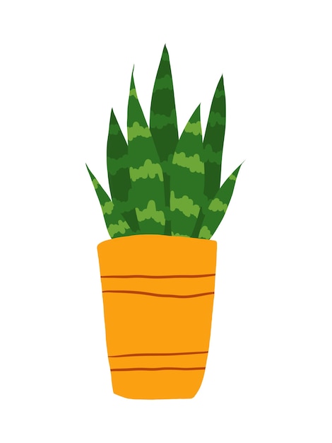 Hand drawn sansevieria clip art isolated on white background. Green sansevieria flower in a pot illustration. House plant clipart.