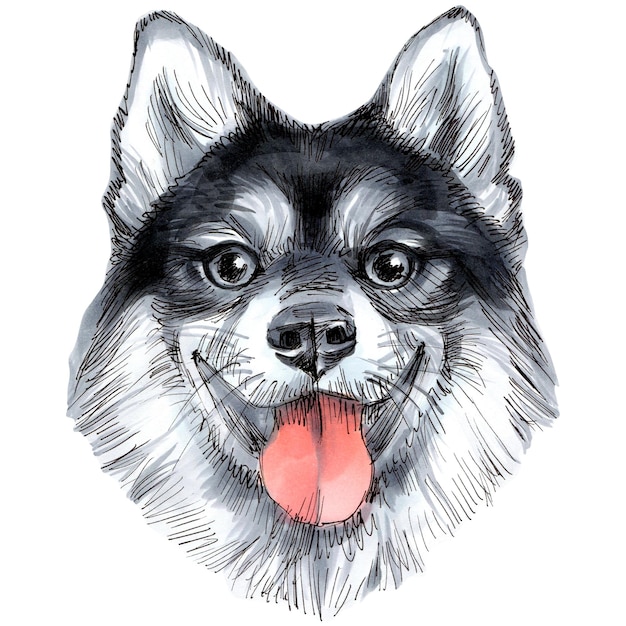 Hand drawn sketch markers illustration of cute dog portrait.