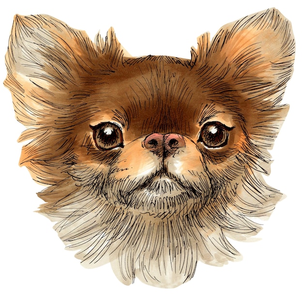 Hand drawn sketch markers illustration of cute dog portrait.