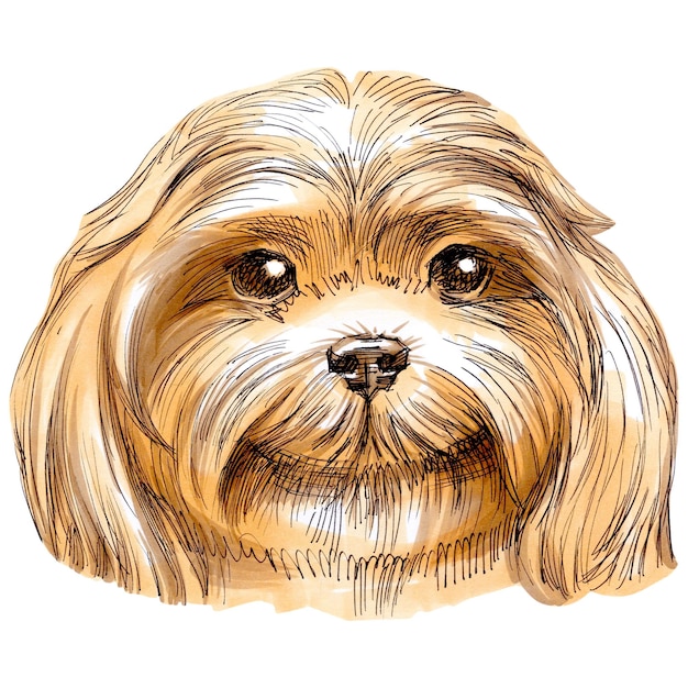 Hand drawn sketch markers illustration of cute dog portrait.