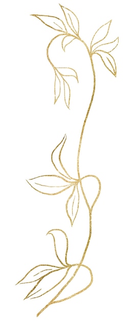 Photo hand drawn twig with leaves golden outlines isolated illustration wedding stationery element