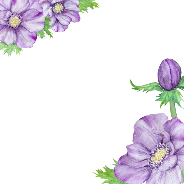 Hand drawn watercolor border of purple anemones with green leaves Spring compositioin for wedding invitations greeting cards