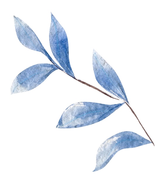 Hand Drawn Watercolor Branch Of Blue Leaves