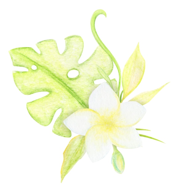 Hand Drawn Watercolor Cute Tropical Flower Bouquet