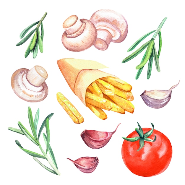 Hand drawn watercolor french fry in paper wrapping with tomato, garlic, mushroom and rosemary, delicious fast food illustration, isolated on white background.