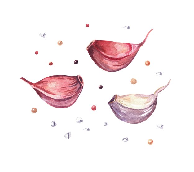 Hand drawn watercolor garlic and pepper painting on white background.