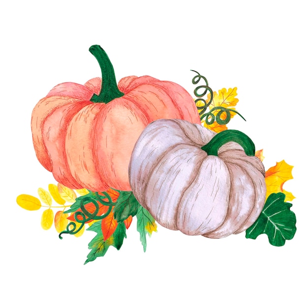 Hand drawn watercolor pumpkin leaves composition on white Thanksgiving Scrapbook poster label banner