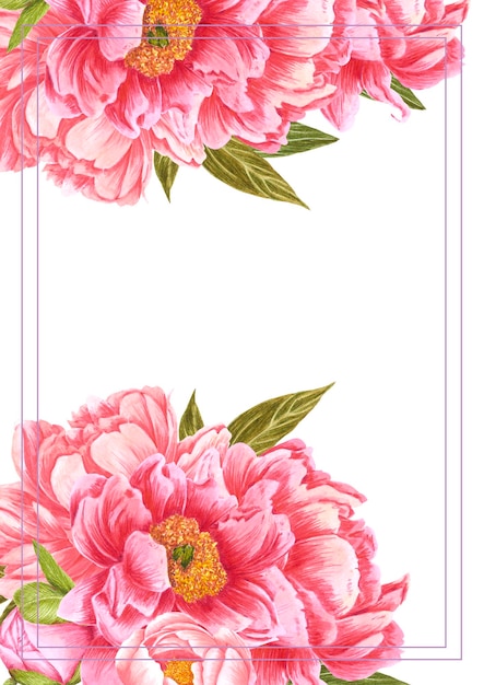 Hand drawn watercolor red peony flowers bouquet Isolated on white background Scrapbook post card banner lable poster